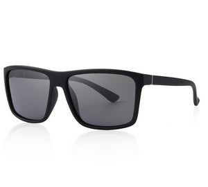 Polarized Sunglasses (4 color) S8225